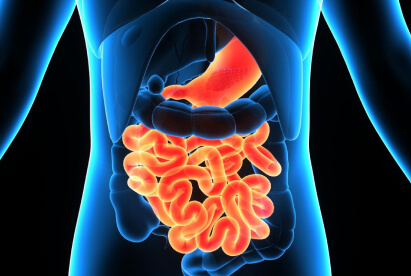 What does it mean to "Clean Your Insides"