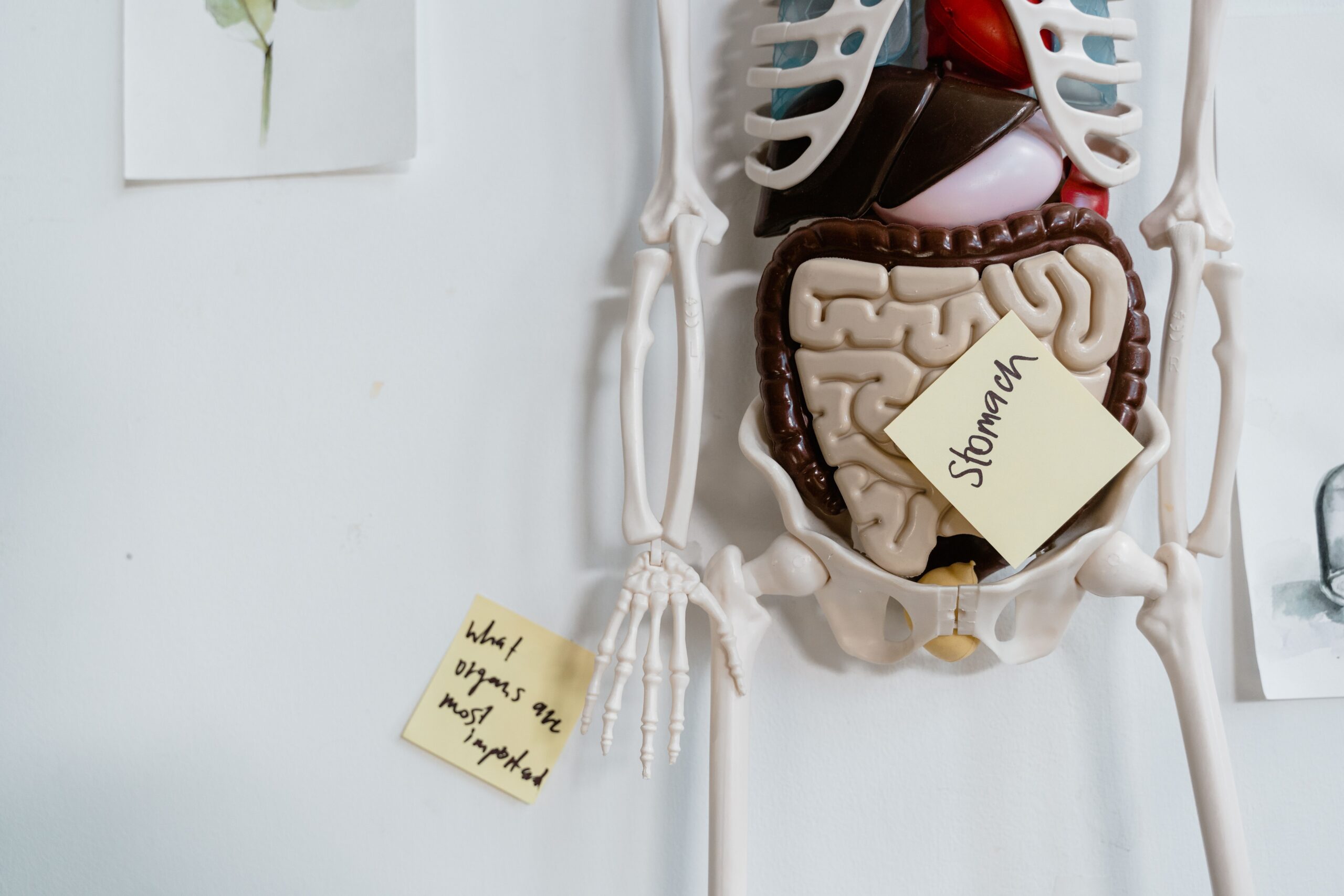 Is Your Gut Trying to Tell You Something? Signs to Watch For